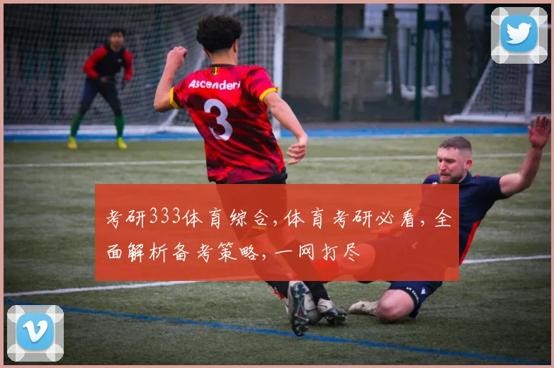 考研333体育综合,体育考研必看,全面解析备考策略,一网打尽