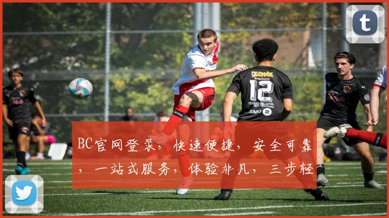 BC官网登录，快速便捷，安全可靠，一站式服务，体验非凡，三步轻松搞定，不容错过