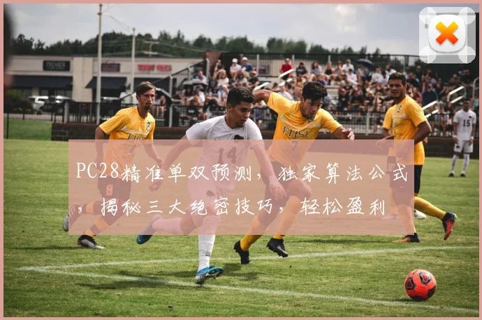 PC28精准单双预测，独家算法公式，揭秘三大绝密技巧，轻松盈利
