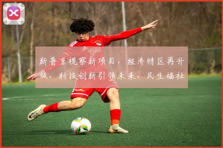 新普京视察新项目，经济特区再升级，科技创新引领未来，民生福祉持续提升，共谋发展新篇章